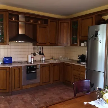 Under The Walnut Tree * Варна