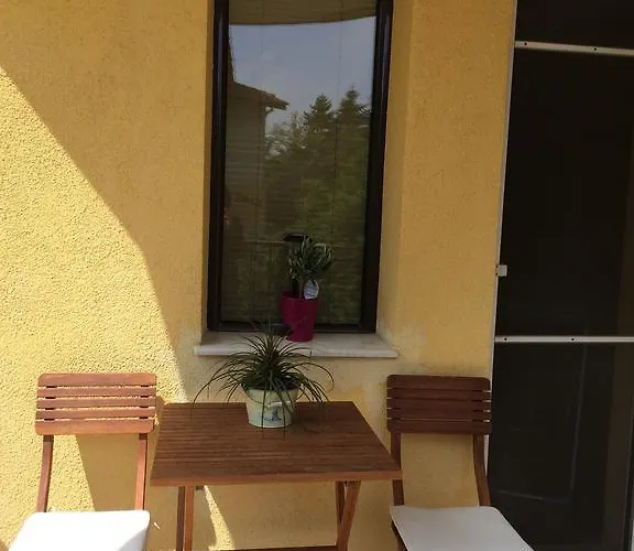 Under The Walnut Tree Warna