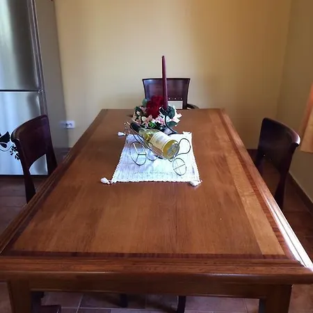 Under The Walnut Tree Varna