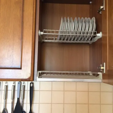 Under The Walnut Tree Varna