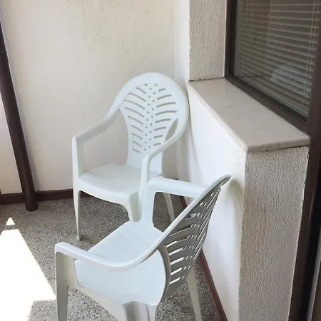 Under The Walnut Tree * Varna