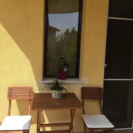 Under The Walnut Tree Varna